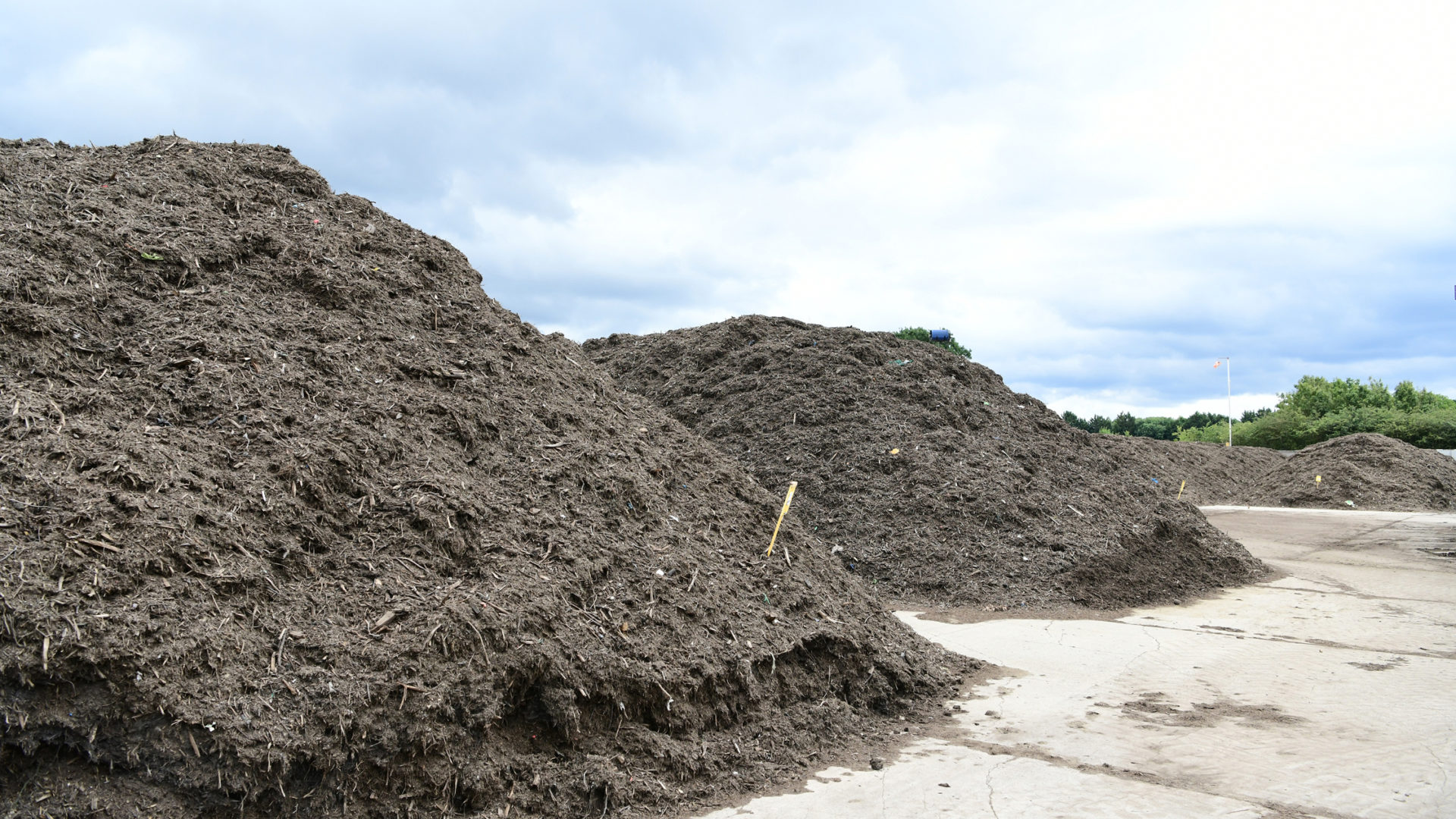 Compost | Shorts Group