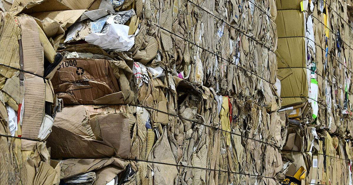 Pallet & Bale Collections Shorts Group