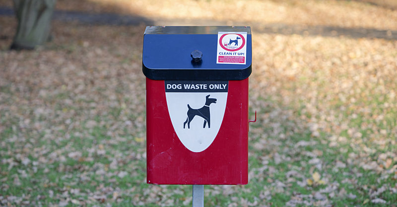 where do dog poop go from dog bins