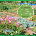 National allotments week Aug2024